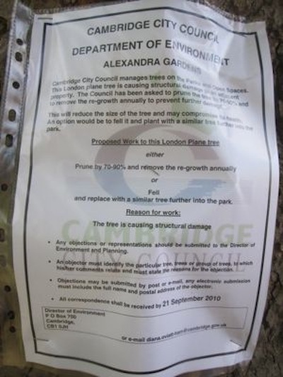 On the 3rd of September 2010 notices were attached to the trees threatened with felling. 