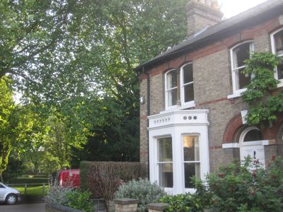 13 Holland Street is the nearest property to most of the trees threatened with felling or destructive pruning.